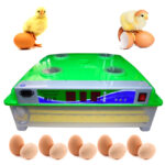 incubator-ms-98 UNITEH PRO